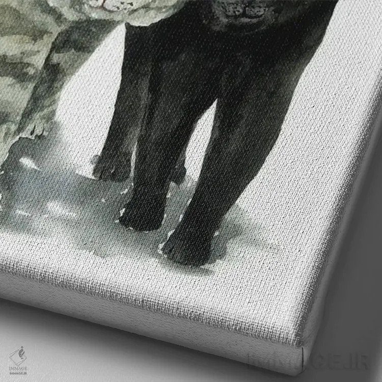 تابلو گربهی سیاه و گربهی خالدار اثر آلکسی دیمیتریویچ شمیروف - نمای نزدیک بافت بوم