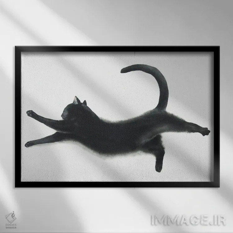 تابلو گربهی سیاه یوگا کار I اثر آلکسی دیمیتریویچ شمیروف - نمای قابدار مشکی