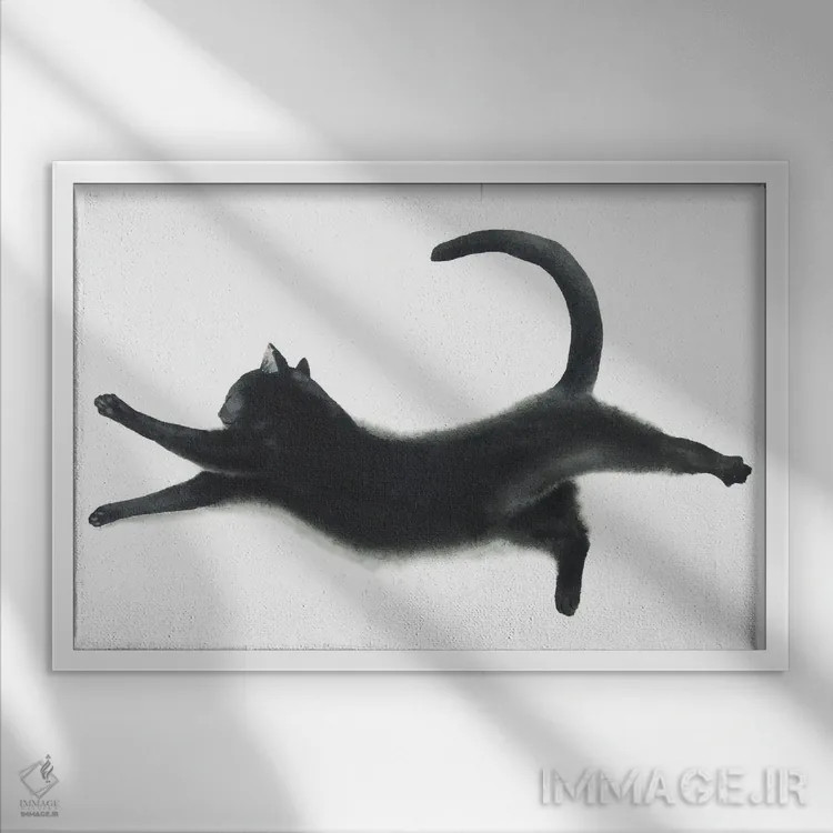 تابلو گربهی سیاه یوگا کار I اثر آلکسی دیمیتریویچ شمیروف - نمای قابدار سفید