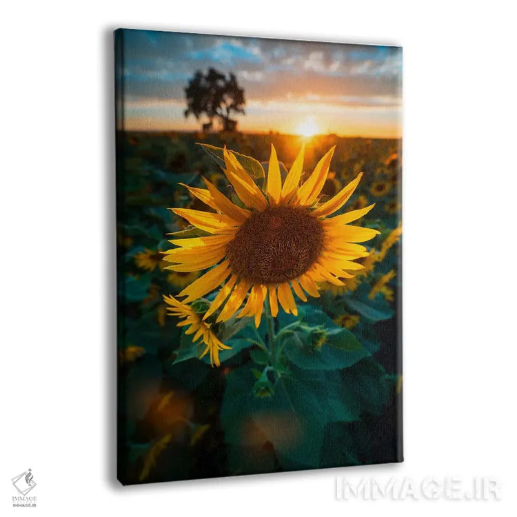 تابلو سمفونی آفتابگردان اثر الکساندر اسلاوتسکی - نمای پرسپکتیو محصول