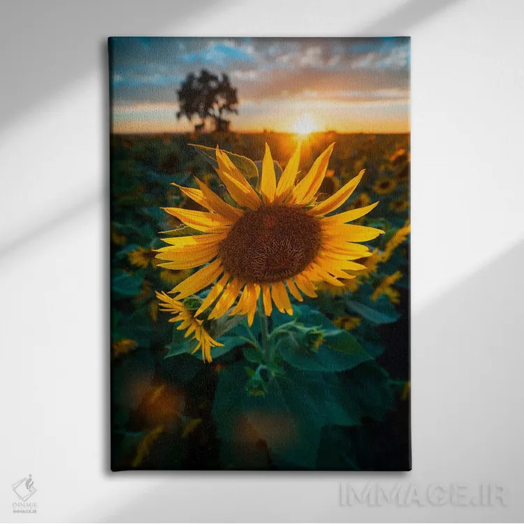 تابلو سمفونی آفتابگردان اثر الکساندر اسلاوتسکی - نمای روبهرو روی دیوار