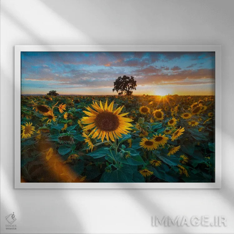 تابلو امواج طلایی اثر الکساندر اسلاوتسکی - نمای قابدار سفید