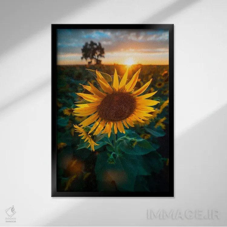 تابلو سمفونی آفتابگردان اثر الکساندر اسلاوتسکی - نمای قابدار مشکی