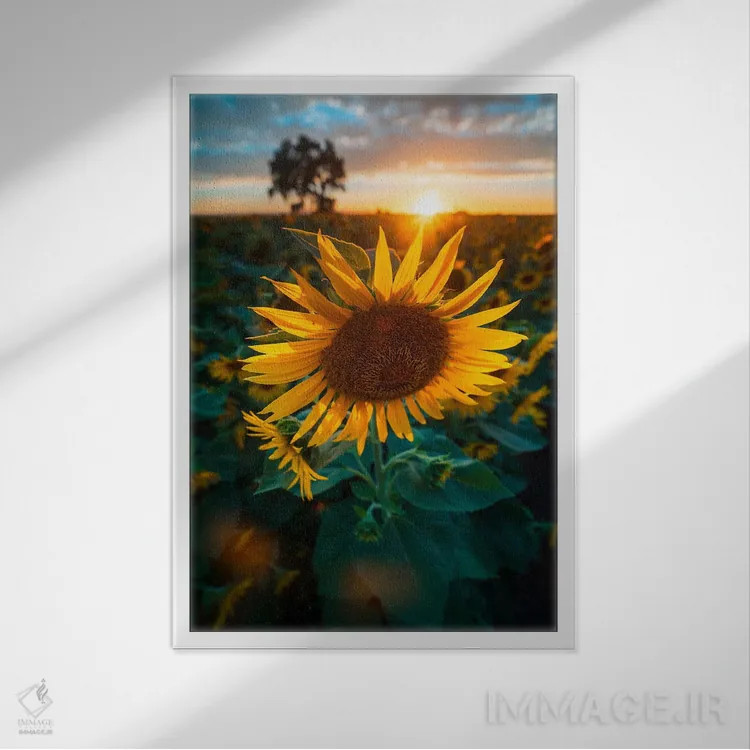 تابلو سمفونی آفتابگردان اثر الکساندر اسلاوتسکی - نمای قابدار سفید