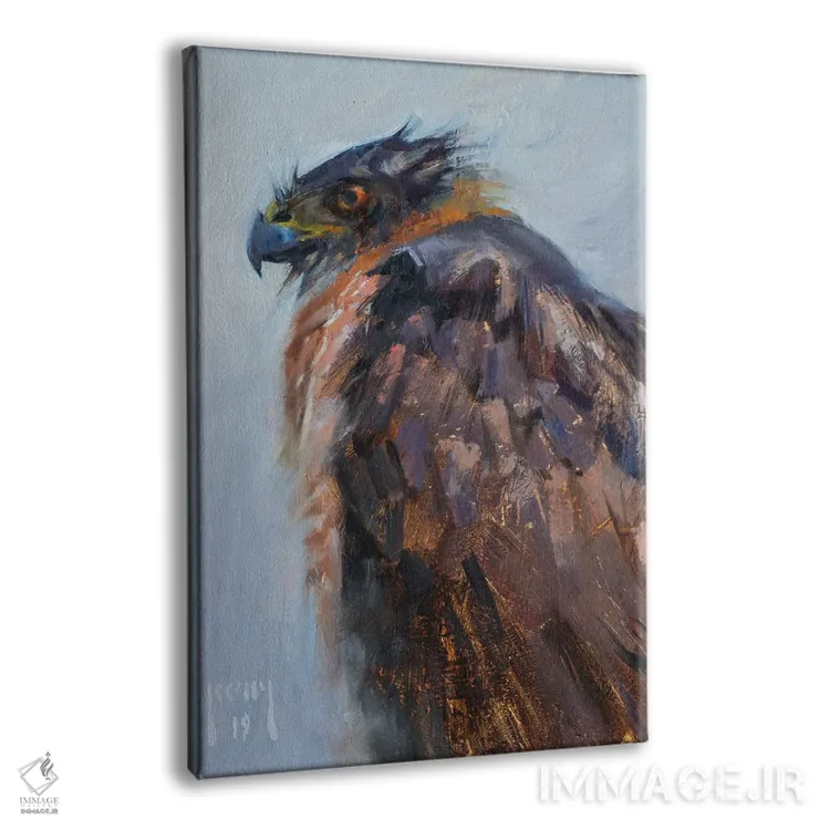 تابلو شاهین کوپر منتظر پایان طوفان اثر الکس کلی - نمای پرسپکتیو محصول