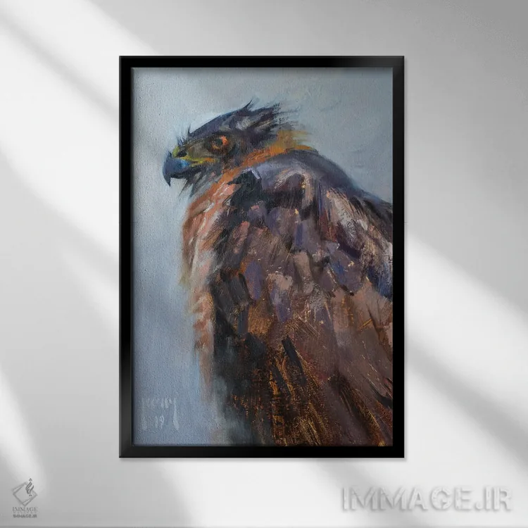 تابلو شاهین کوپر منتظر پایان طوفان اثر الکس کلی - نمای قابدار مشکی