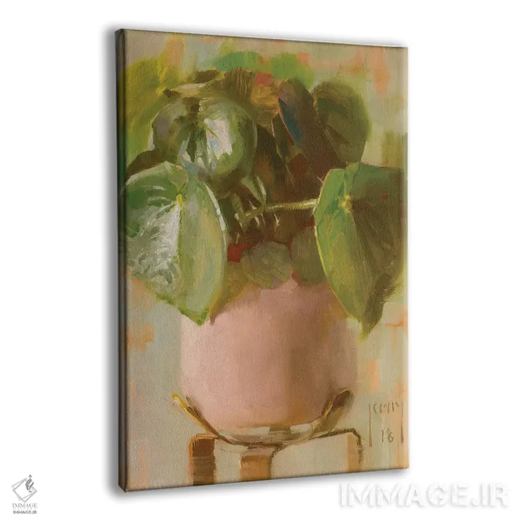 تابلو پپرومیا پولیباتریا (گیاه اشکی) اثر الکس کلی - نمای پرسپکتیو محصول