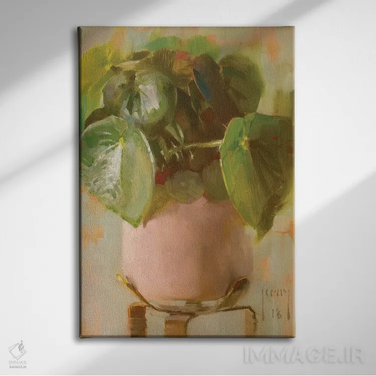 تابلو پپرومیا پولیباتریا (گیاه اشکی) اثر الکس کلی - نمای روبهرو روی دیوار