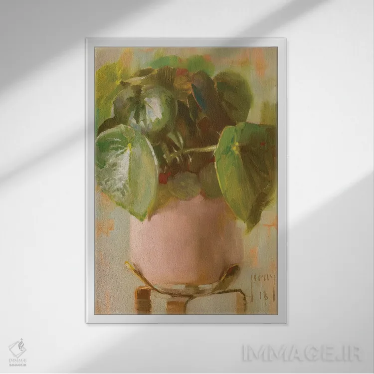 تابلو پپرومیا پولیباتریا (گیاه اشکی) اثر الکس کلی - نمای قابدار سفید