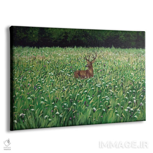 تابلو چمنزار بیسچادی (کوهستان لهستان) اثر اگنیشکا تورک - نمای پرسپکتیو محصول