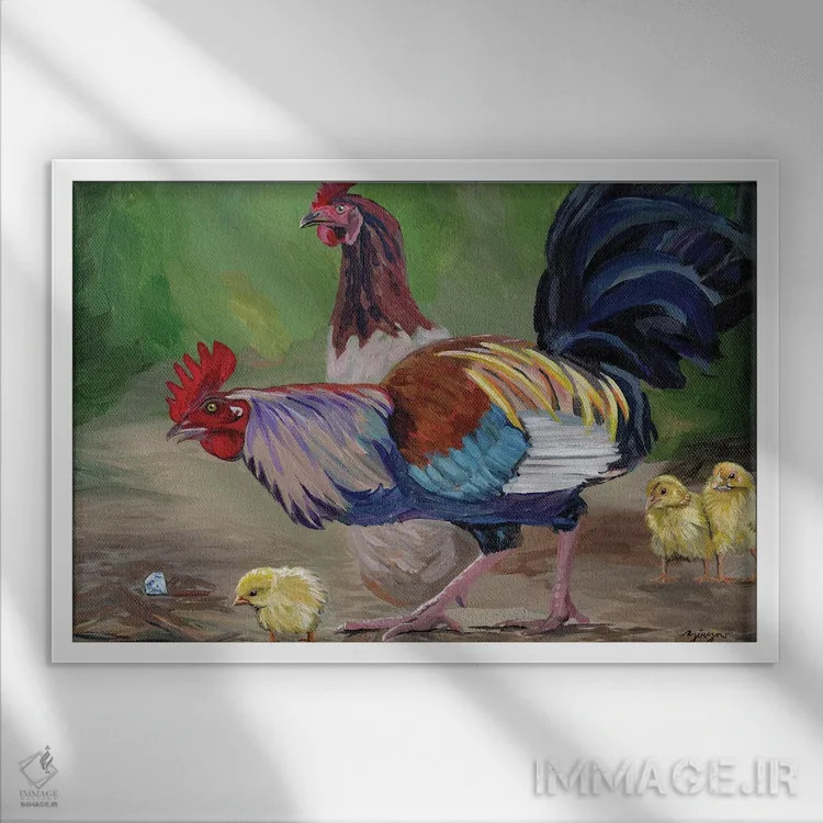 تابلو خروس و جواهر اثر آماندا زیرزو - نمای قابدار سفید