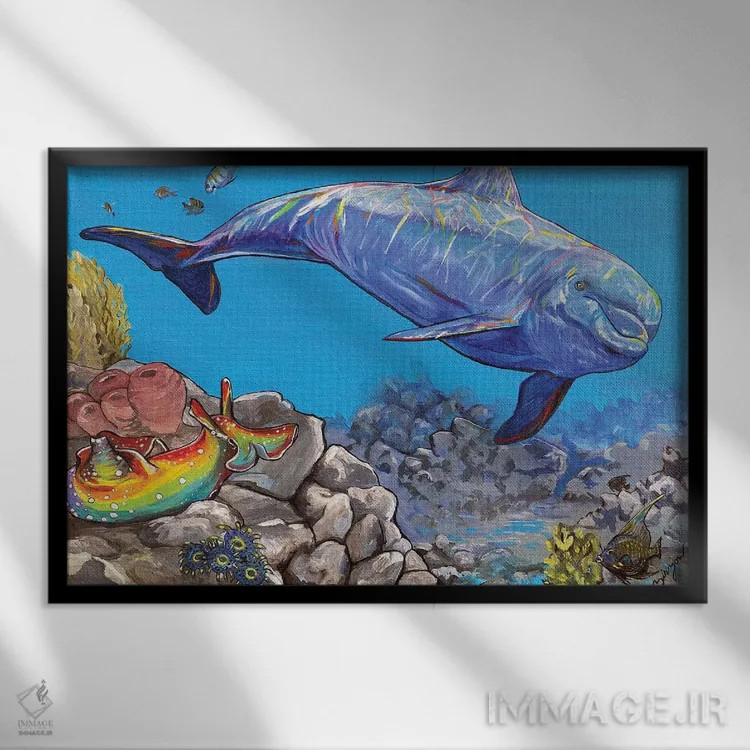 تابلو دلفین و خرگوش دریایی اثر آماندا زیرزو - نمای قابدار مشکی
