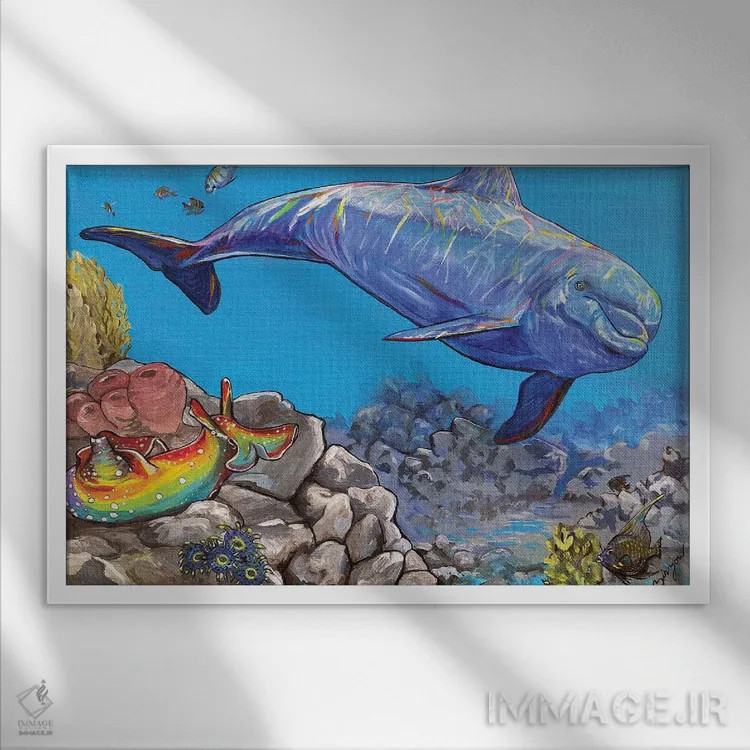 تابلو دلفین و خرگوش دریایی اثر آماندا زیرزو - نمای قابدار سفید