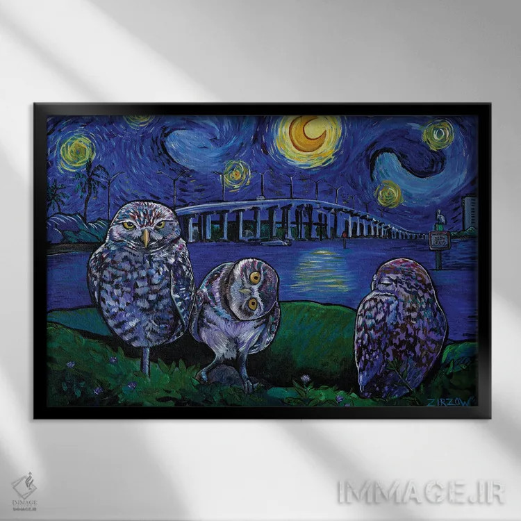 تابلو جغدهای نقبزن در شب پرستاره اثر آماندا زیرزو - نمای قابدار مشکی