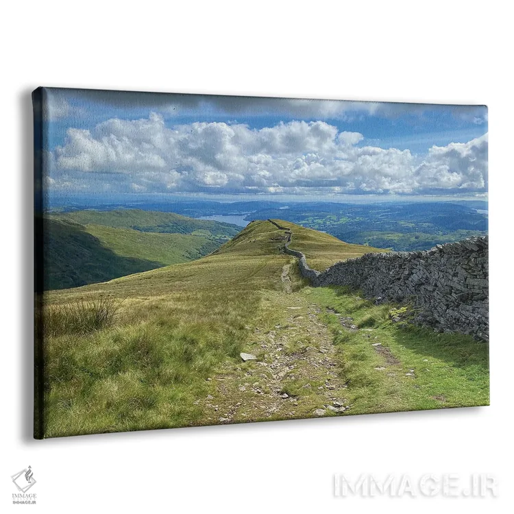 تابلو نگاه به جلو اثر نوا بی - نمای پرسپکتیو محصول