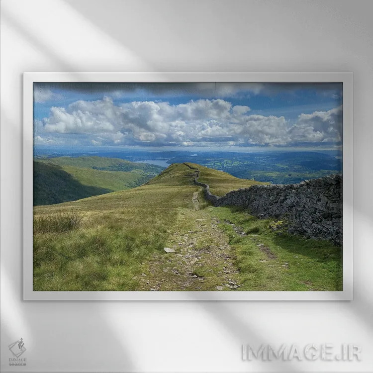 تابلو نگاه به جلو اثر نوا بی - نمای قابدار سفید