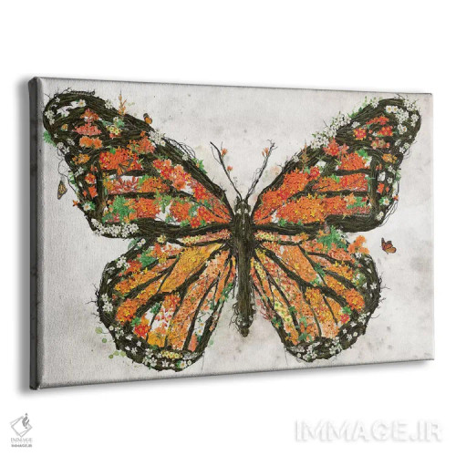 تابلو پروانه مونارک (گونه پروانه) اثر برت بیگرز - نمای پرسپکتیو محصول