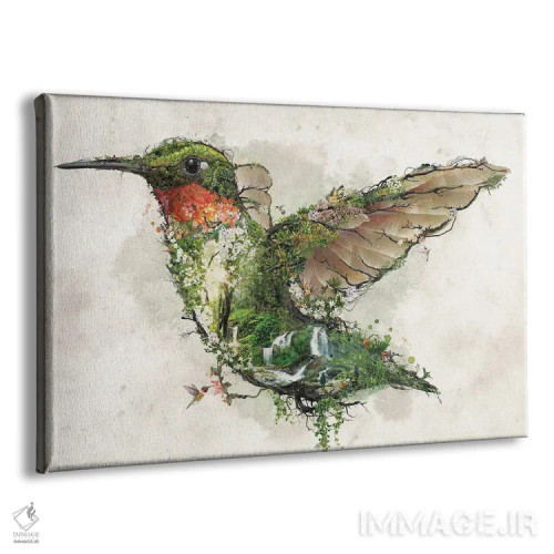 تابلو مرغ مگسخوار گلو یاقوتی اثر برت بیگرز - نمای پرسپکتیو محصول