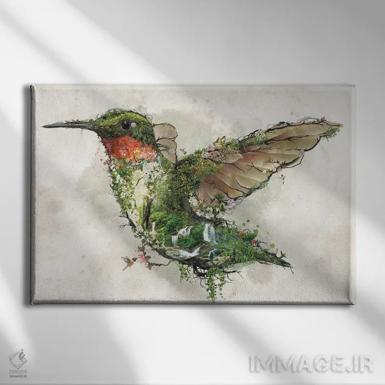 تابلو مرغ مگسخوار گلو یاقوتی اثر برت بیگرز - نمای روبهرو روی دیوار