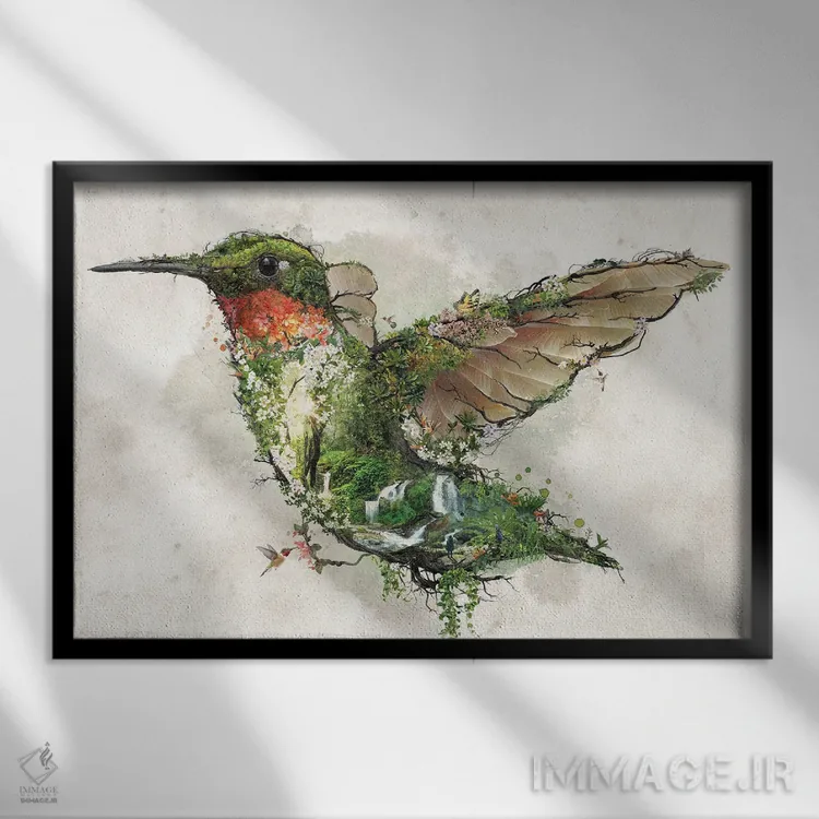 تابلو مرغ مگسخوار گلو یاقوتی اثر برت بیگرز - نمای قابدار مشکی