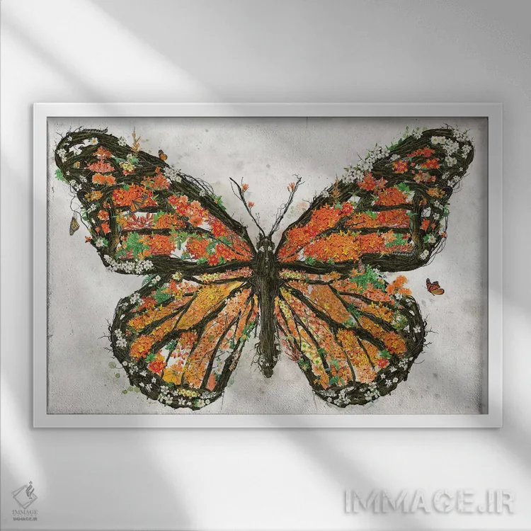تابلو پروانه مونارک (گونه پروانه) اثر برت بیگرز - نمای قابدار سفید