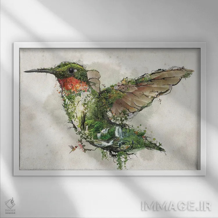 تابلو مرغ مگسخوار گلو یاقوتی اثر برت بیگرز - نمای قابدار سفید