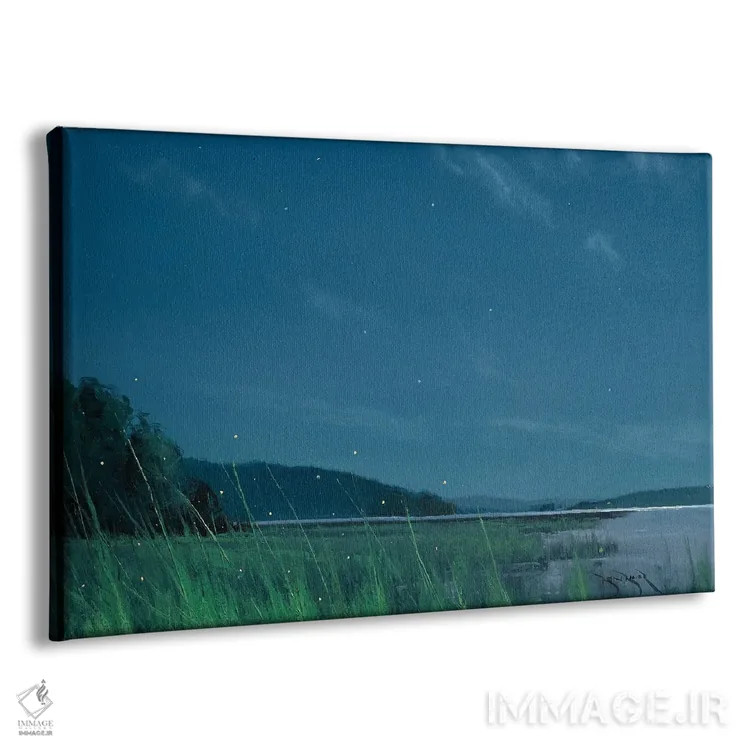 تابلو کرمهای شبتاب در دریاچه مری اثر بن بائر - نمای پرسپکتیو محصول