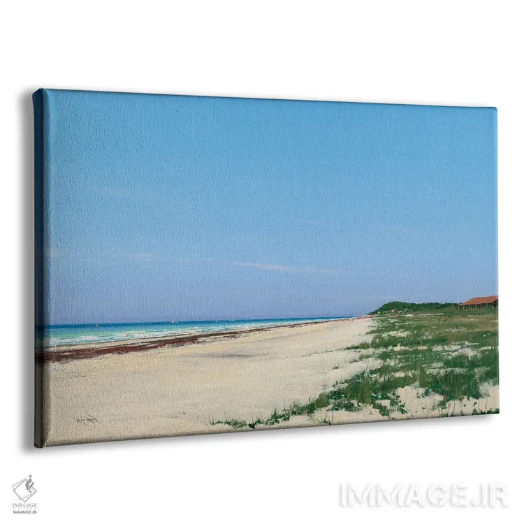 تابلو بعدازظهر در پارک ایالتی باهای هوندا، فلوریدا کیز اثر بن بائر - نمای پرسپکتیو محصول