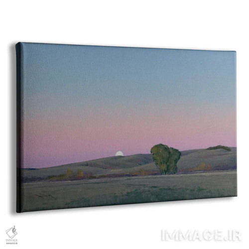 تابلو طلوع ماه در لوری، مینهسوتا اثر بن بائر - نمای پرسپکتیو محصول