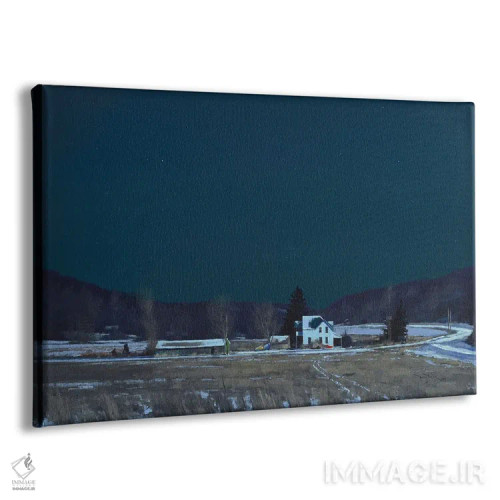 تابلو جنوب نپ در زیر نور ماه اثر بن بائر - نمای پرسپکتیو محصول