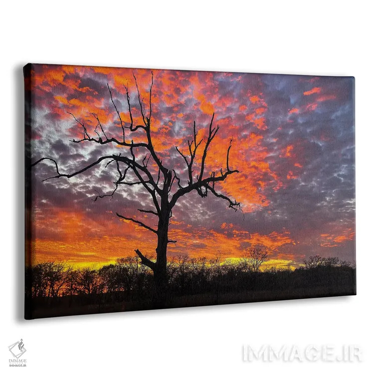 تابلو پایان سوزان طبیعت اثر برایان بیلکه - نمای پرسپکتیو محصول