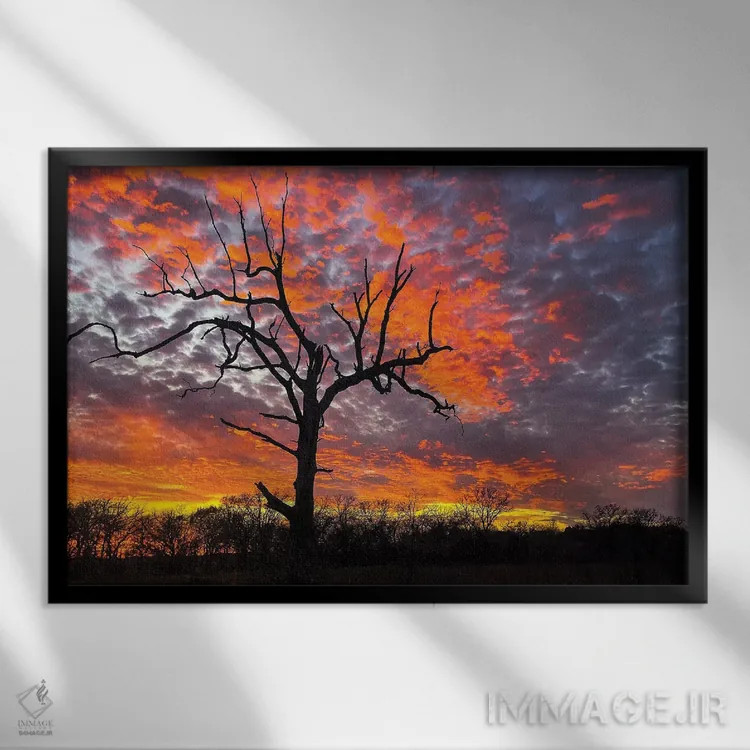 تابلو پایان سوزان طبیعت اثر برایان بیلکه - نمای قابدار مشکی