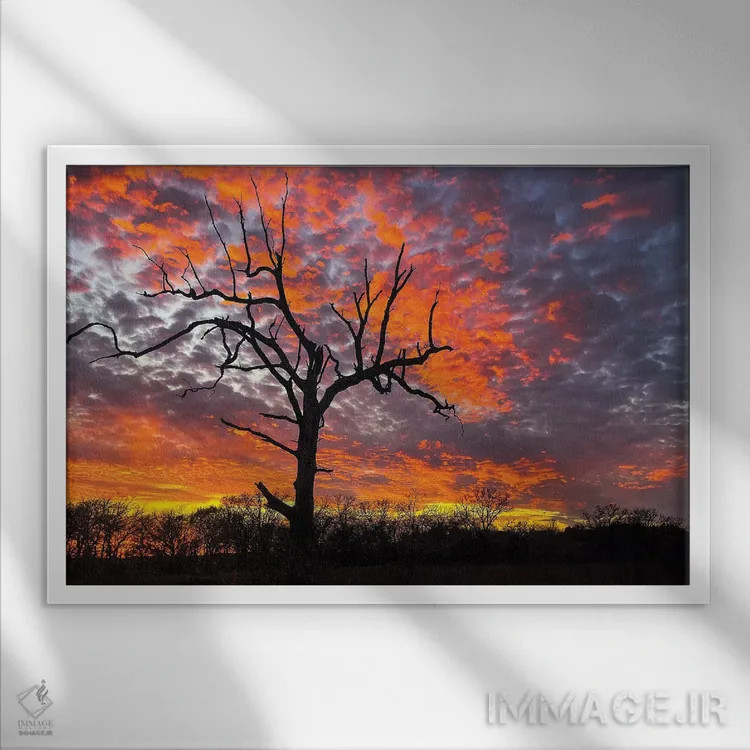 تابلو پایان سوزان طبیعت اثر برایان بیلکه - نمای قابدار سفید