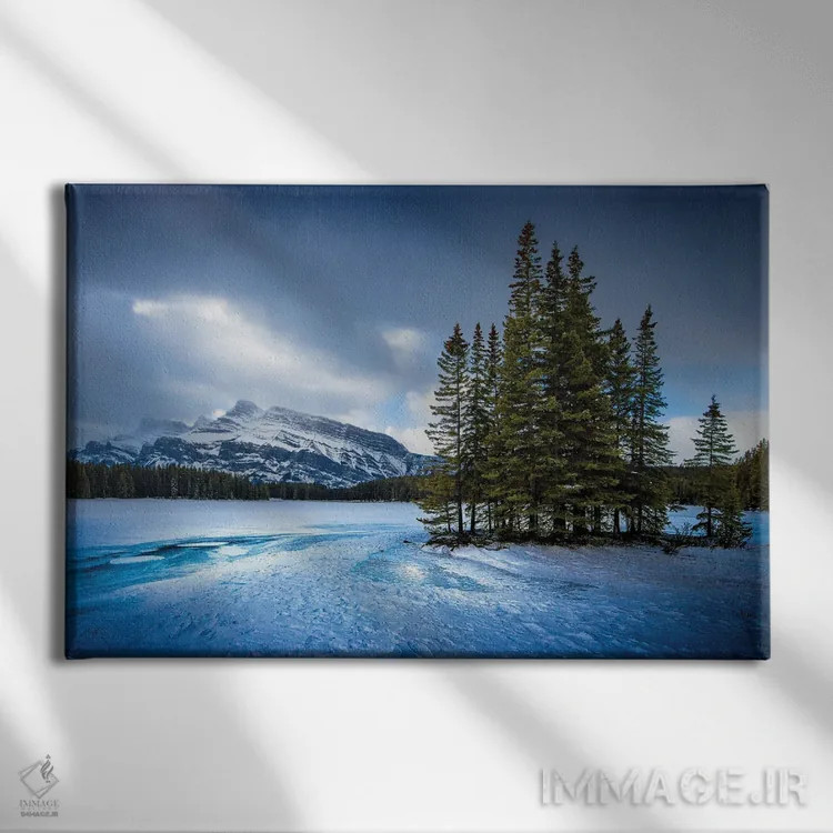 تابلو شکوه یخزده اثر برایان بیلکه - نمای روبهرو روی دیوار