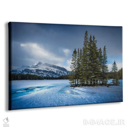 تابلو شکوه یخزده اثر برایان بیلکه - نمای پرسپکتیو محصول