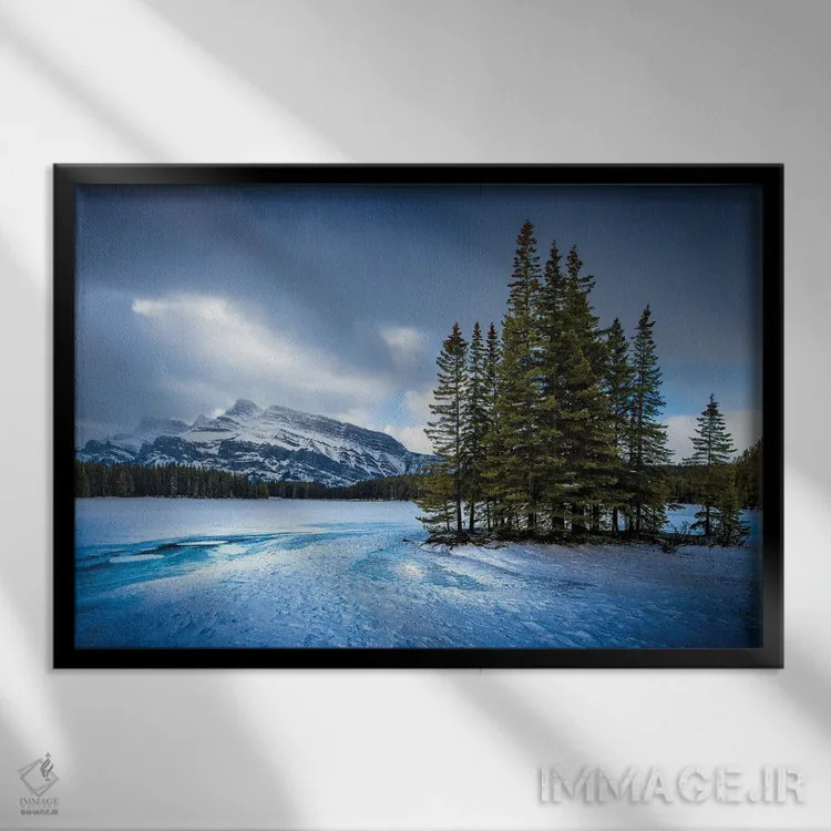 تابلو شکوه یخزده اثر برایان بیلکه - نمای قابدار مشکی