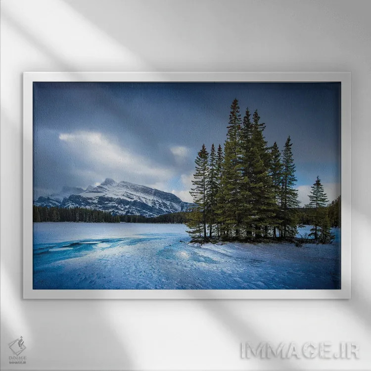 تابلو شکوه یخزده اثر برایان بیلکه - نمای قابدار سفید