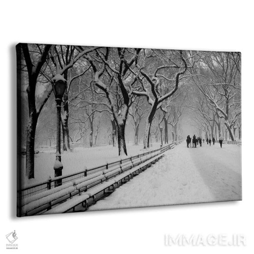 تابلو برف پارک مرکزی اثر عکاسی بیل کارسون - نمای پرسپکتیو محصول
