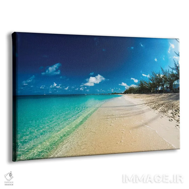 تابلو ساحل جزایر کیمن اثر عکاسی بیل کارسون - نمای پرسپکتیو محصول