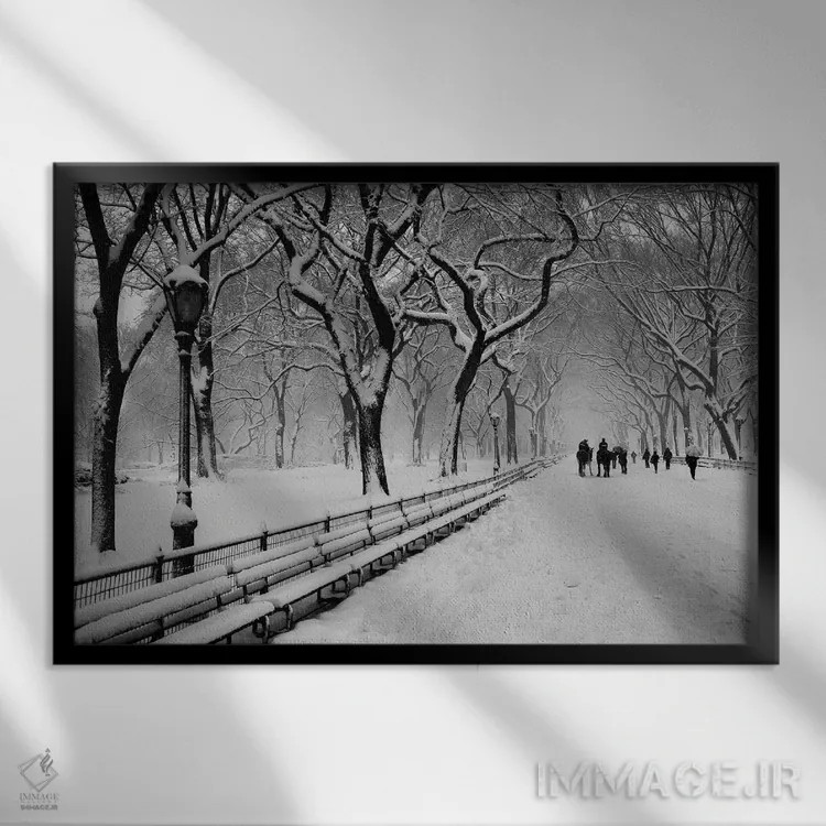 تابلو برف پارک مرکزی اثر عکاسی بیل کارسون - نمای قابدار مشکی
