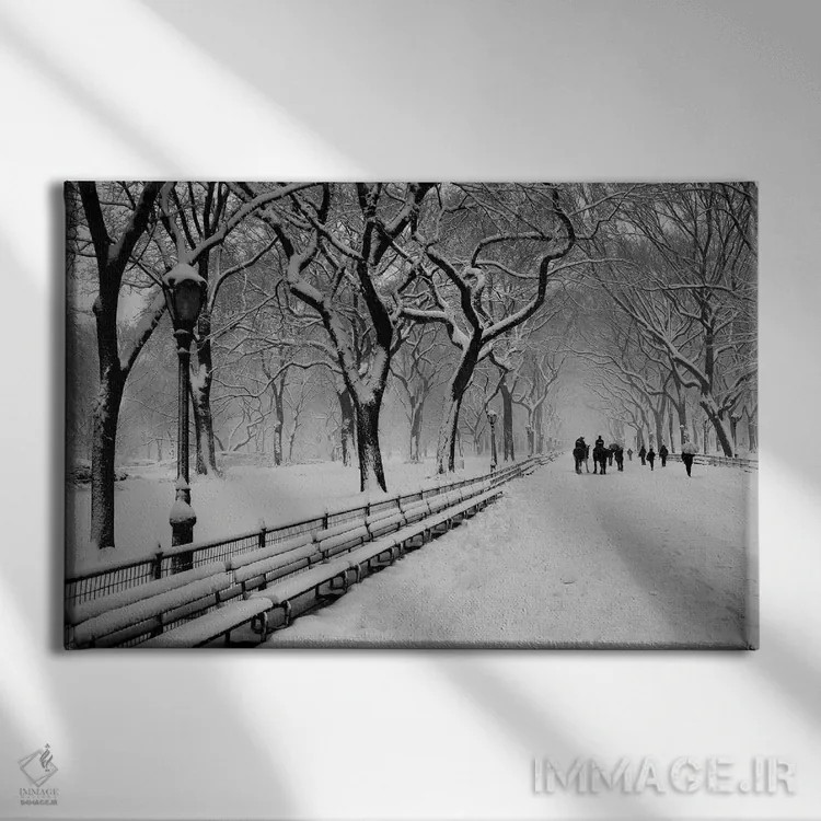 تابلو برف پارک مرکزی اثر عکاسی بیل کارسون - نمای روبهرو روی دیوار