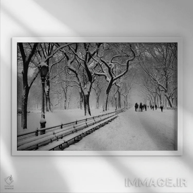 تابلو برف پارک مرکزی اثر عکاسی بیل کارسون - نمای قابدار سفید