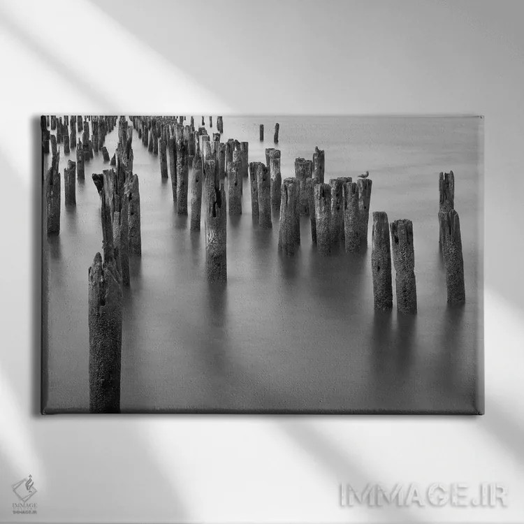 تابلو پایههای رودخانه هادسون اثر عکاسی بیل کارسون - نمای روبهرو روی دیوار