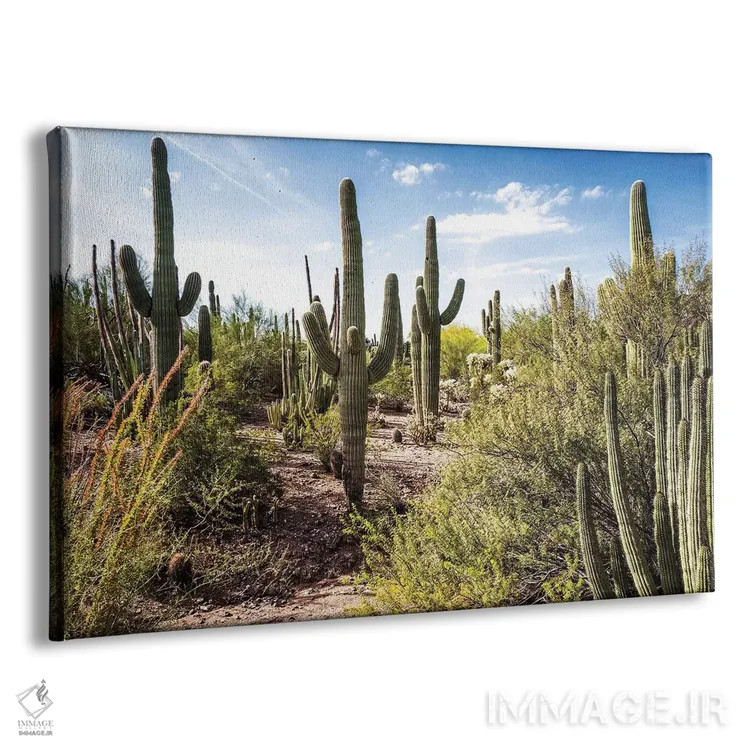 تابلو به سوی بیابان اثر عکاسی بیل کارسون - نمای پرسپکتیو محصول