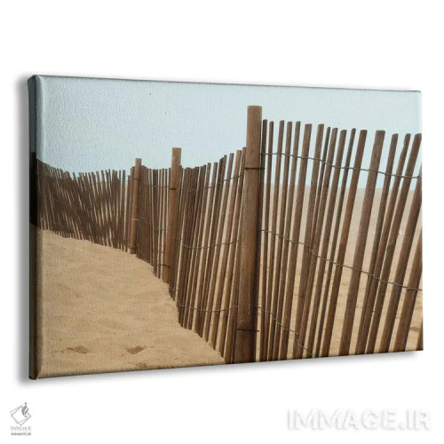 تابلو نماهای ساحل اثر عکاسی بیل کارسون - نمای پرسپکتیو محصول