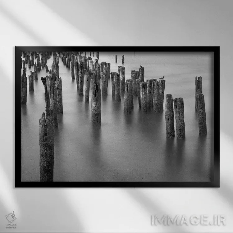تابلو پایههای رودخانه هادسون اثر عکاسی بیل کارسون - نمای قابدار مشکی