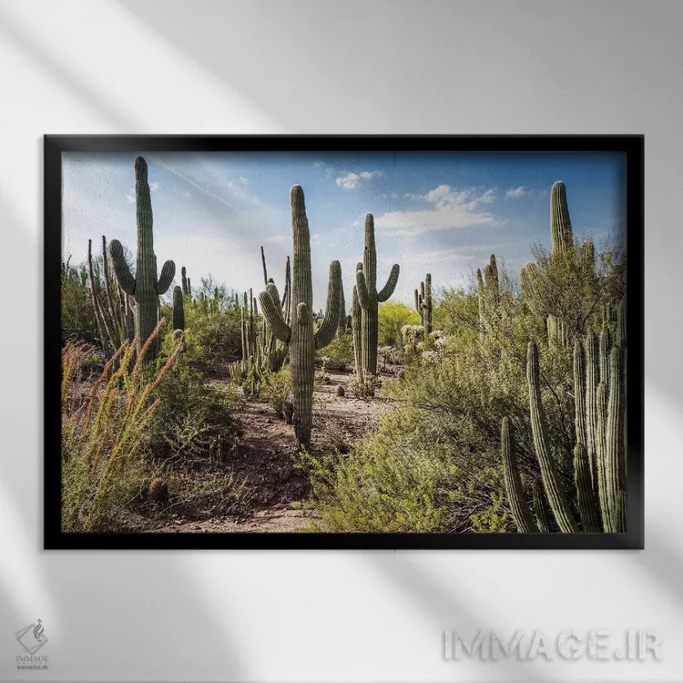 تابلو به سوی بیابان اثر عکاسی بیل کارسون - نمای قابدار مشکی