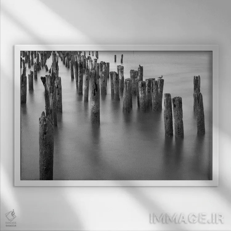 تابلو پایههای رودخانه هادسون اثر عکاسی بیل کارسون - نمای قابدار سفید