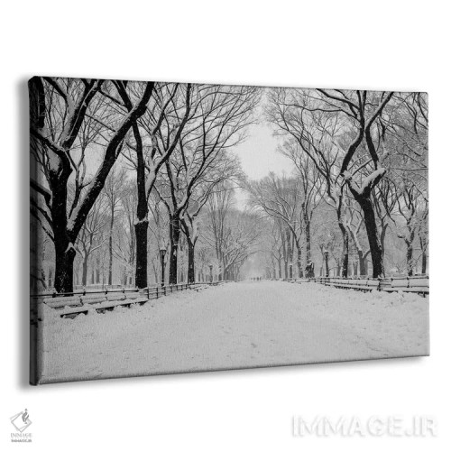 تابلو خیابان اصلی واشینگتن دیسی (The Mall) اثر عکاسی بیل کارسون - نمای پرسپکتیو محصول