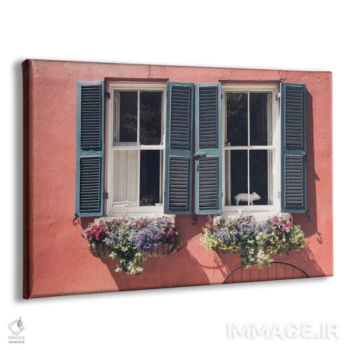 تابلو جذابیت پنجره اثر عکاسی بیل کارسون - نمای پرسپکتیو محصول